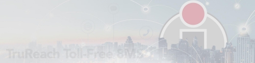 Learn more about Toll-Free 8MS